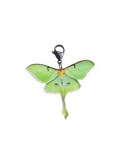 Butterfly Moth Charm