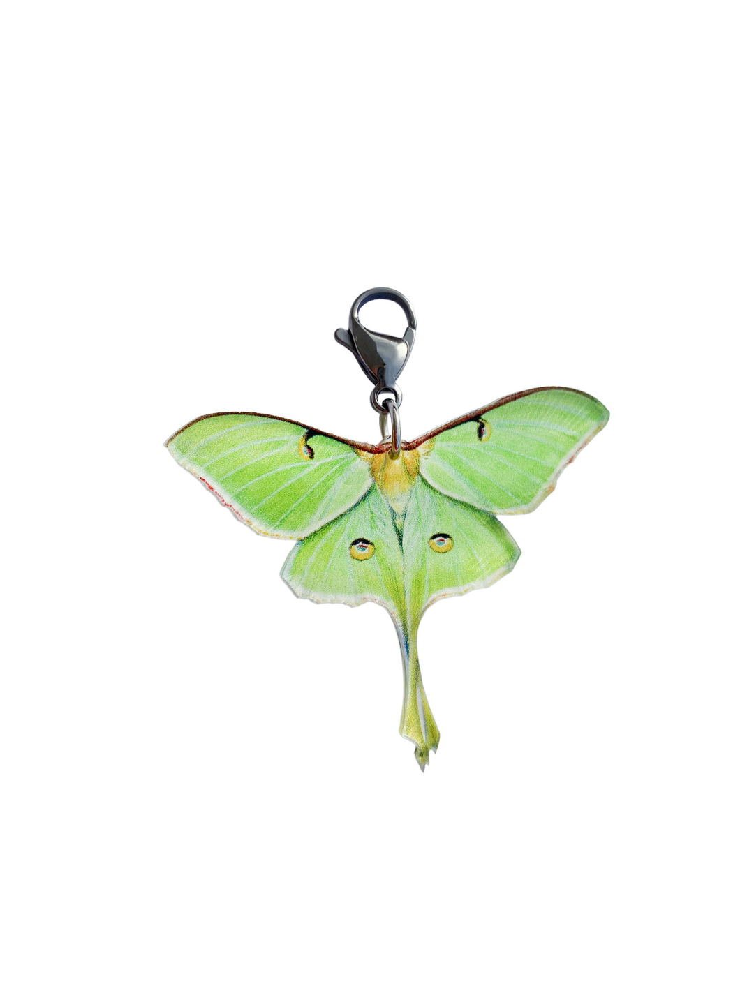Butterfly Moth Charm